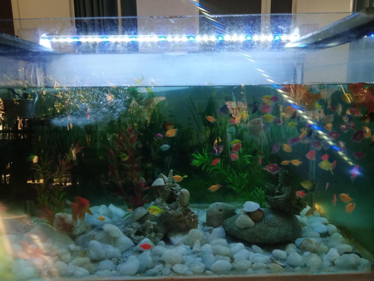 לינה וארוחת בוקר מיריסה Moon Light Guest מראה חיצוני תמונה